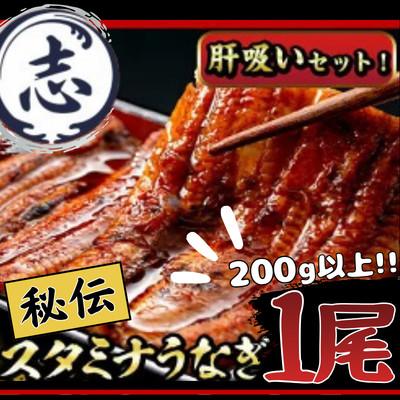 ふるさと納税 志布志市 鹿児島県産!秘伝の特上スタミナうなぎ 食べ応え抜群の大きめ1尾約200gサイズ♪