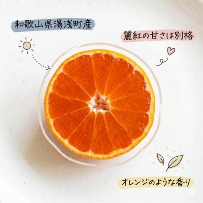 ふるさと納税 湯浅町 [訳あり 家庭用]麗紅 3kg(S〜2Lサイズ混合)