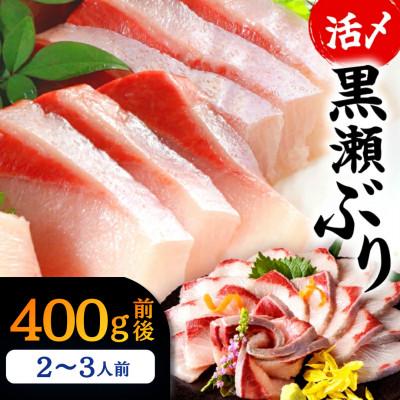 ふるさと納税 串間市 活じめ!黒瀬ぶりの生鮮ブリロイン 2節〜3節 (400g前後)