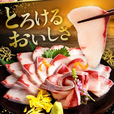 ふるさと納税 串間市 活じめ!黒瀬ぶりの生鮮ブリロイン 2節(1kg前後) |  | 01