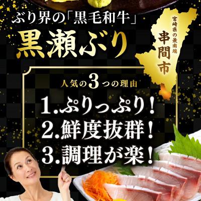 ふるさと納税 串間市 活じめ!黒瀬ぶりの生鮮ブリロイン 2節(1kg前後) |  | 02