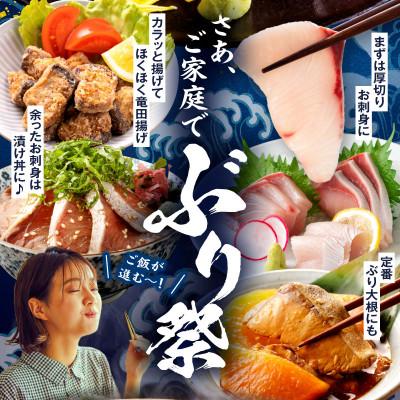 ふるさと納税 串間市 活じめ!黒瀬ぶりの生鮮ブリロイン 2節(1kg前後) |  | 03