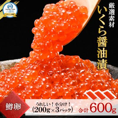 ふるさと納税 八雲町 [数量限定1200セット]いくら醤油漬(鱒)200g×3パック(合計600g) 小分け 北海道