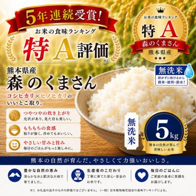 ふるさと納税 玉名市 [熊本県産] 森のくまさん 無洗米 5kg