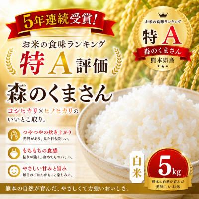ふるさと納税 玉名市 [熊本県産] 森のくまさん 白米 5kg