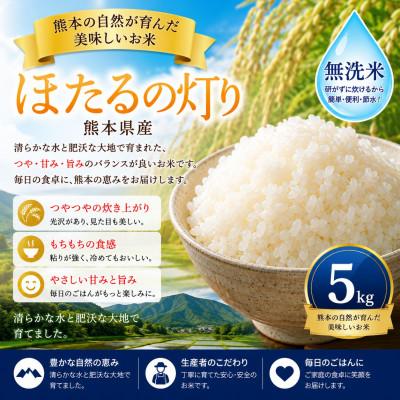 ふるさと納税 玉名市 [熊本県産] ほたるの灯り 無洗米 5kg