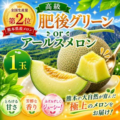 ふるさと納税 玉名市 熊本県産メロン 肥後グリーンorアールスメロン 1玉 (玉名市)