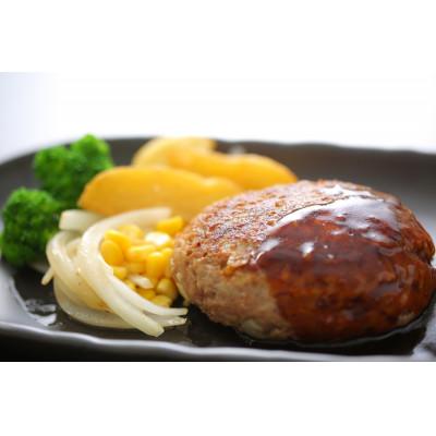ふるさと納税 宇城市 あか牛ハンバーグ 10個(150g×10個)(宇城市)