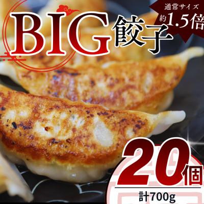 ふるさと納税 真岡市 たじまやオリジナルビッグ餃子 35g×20個