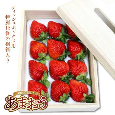 ふるさと納税 春日市 [先行受付]ティッシュボックス用特別仕様の桐箱入りプレミアムあまおうEX400g×1パック(春日市)