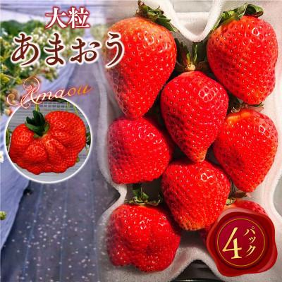 ふるさと納税 春日市 [2027年2月より順次発送]厳選大粒あまおう(約250-270g×4パック)(春日市)