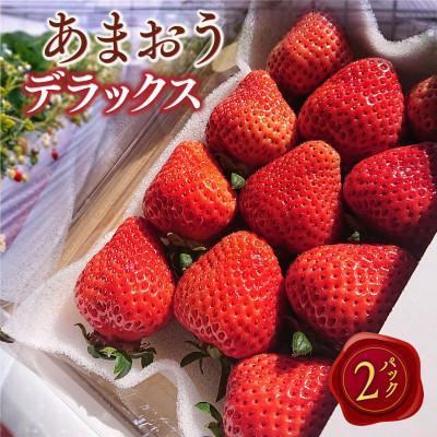 ふるさと納税 春日市 [2027年2月より順次発送]あまおうデラックス(約250-270g×2パック)(春日市)