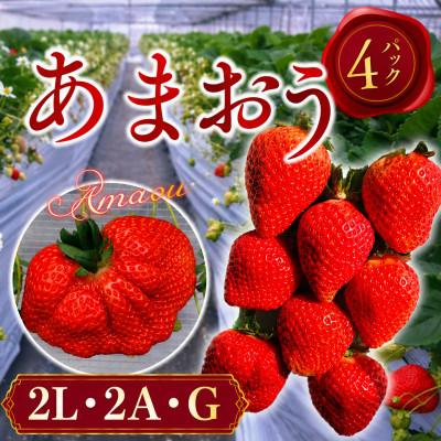 ふるさと納税 春日市 [2027年3月上旬より順次発送]春のあまおう (2L・2A・G規格 4パック) (春日市)