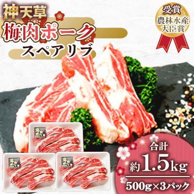 ふるさと納税 上天草市 天草梅肉ポーク スペアリブ 500g×3パック 計1.5kg