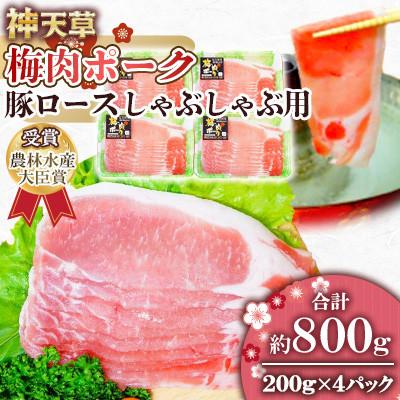 ふるさと納税 上天草市 天草梅肉ポーク 豚ロース しゃぶしゃぶ用 200g×4パック 計800g