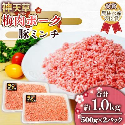 ふるさと納税 上天草市 天草梅肉ポーク 豚ミンチ 500×2パック 計1kg