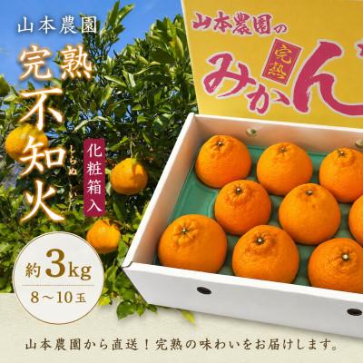 ふるさと納税 日高川町 こだわりの完熟不知火(しらぬい)[化粧箱入り]8〜10玉入り約3kg 和歌山県日高川町産