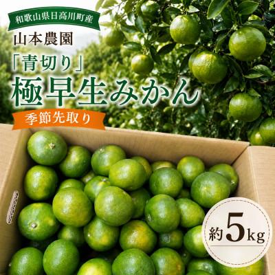 ふるさと納税 日高川町 [季節先取り]弾ける爽快感!「青切り」極早生みかん 約5kg 和歌山県日高川町産