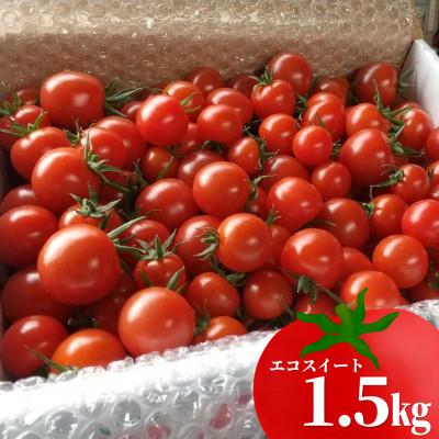 ふるさと納税 村上市 [数量・期間限定]新潟県村上市産 フルーツミニトマト 1.5kg「エコスイート」 1040011