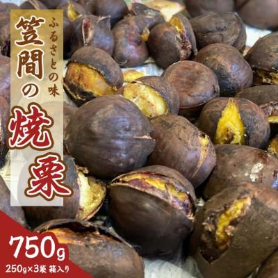 ふるさと納税 笠間市 【2026年先行予約】 笠間の焼栗 3袋×250g　750g入り 農産物直売所すわ 茨城県笠間市 | 