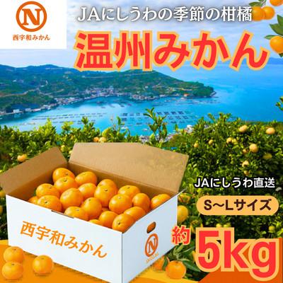 ふるさと納税 八幡浜市 JAにしうわ直送 にしうわ温州みかん 約5kg[C08-97]