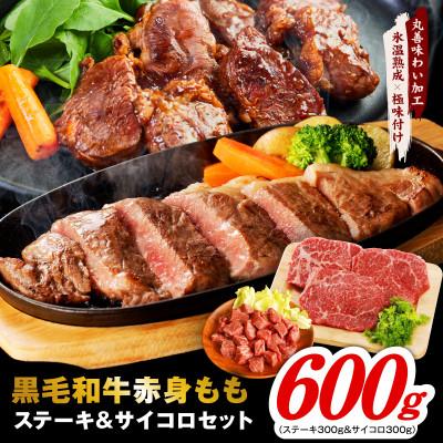 ふるさと納税 泉佐野市 [氷温熟成×極味付]黒毛和牛赤身ももステーキセット総量600g(ステーキ&amp;サイコロ)mrz0436