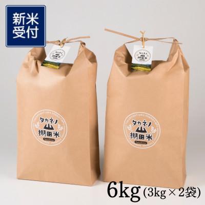 ふるさと納税 村上市 [新米受付・令和8年産]新潟県村上市岩船産棚田米コシヒカリ6kg精米(3kg×2袋)1011008N