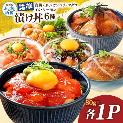 ふるさと納税 芸西村 海鮮漬け丼6種(真鯛・ブリ・カンパチ・マグロ・サーモン・イカ)1食80g×各1パック
