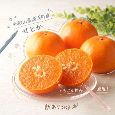 ふるさと納税 湯浅町 [訳あり 家庭用]せとか 3kg(S〜2Lサイズ混合)