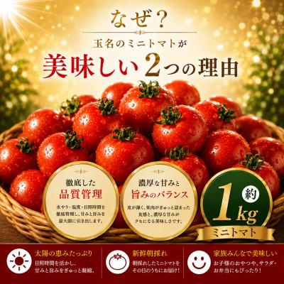 ふるさと納税 玉名市 【先行予約】熊本県産 ミニトマト 約1kg(玉名市) |  | 01