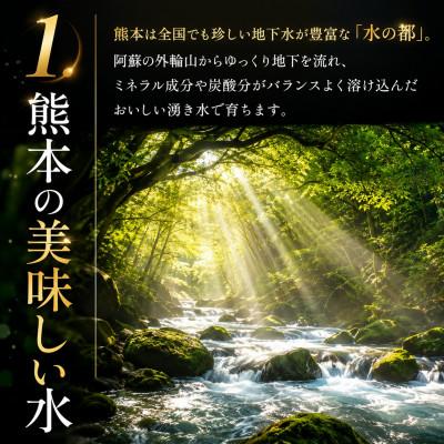 ふるさと納税 玉名市 【先行予約】熊本県産 ミニトマト 約1.5kg(玉名市)_2