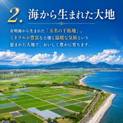 ふるさと納税 玉名市 【先行予約】熊本県産 ミニトマト 約1.5kg(玉名市)_3