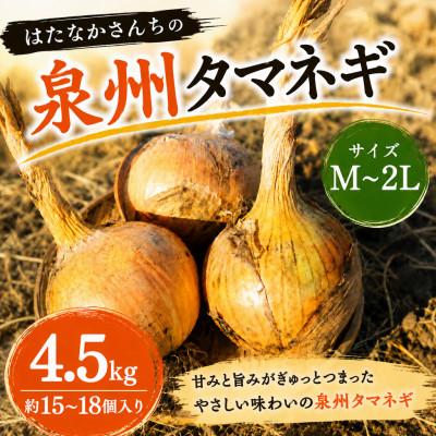 ふるさと納税 阪南市 [味にこだわった新玉ねぎ]はたなかさんちの泉州玉ねぎ4.5Kg≪2026年7月上旬から順次発送≫