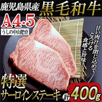 ふるさと納税 志布志市 鹿児島県産黒毛和牛A4・A5ランク特選サーロインステーキ200g×2P