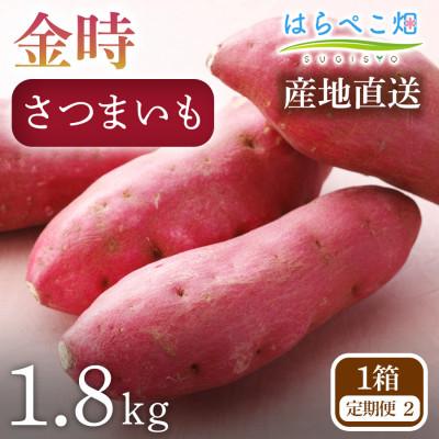 ふるさと納税 西尾市 [定期便2ヶ月]さつまいも 金時 1.8kg 1箱