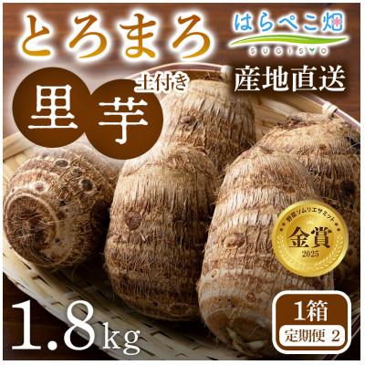 ふるさと納税 西尾市 [定期便2ヶ月]里芋『とろまろ』土付き・1.8kg1箱