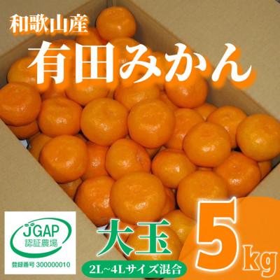ふるさと納税 広川町 [先行受付2026年11月より順次発送]有田みかん 5kg 大玉(2L〜4L混合)[まごころ手選別]