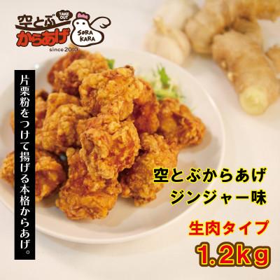 ふるさと納税 四條畷市 空とぶからあげ[ジンジャー味・生タイプ] 1.2kg
