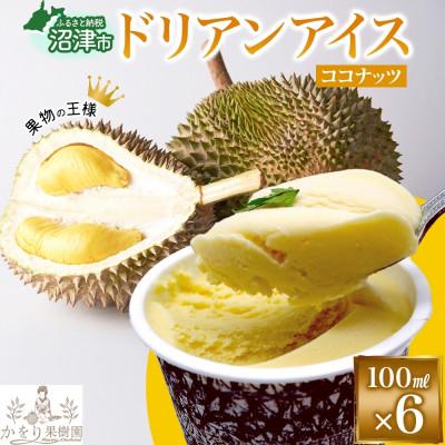 ふるさと納税 沼津市 ドリアン ココナッツ アイスクリーム 100ml 6個 セット かをり果樹園 静岡県 沼津市
