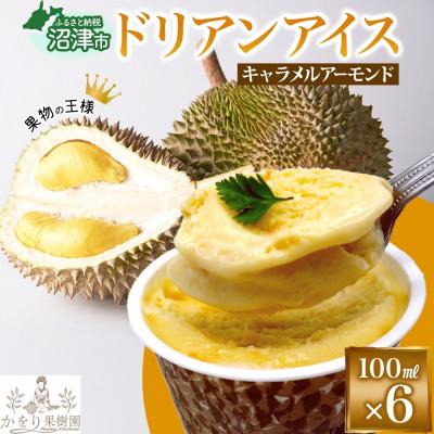 ふるさと納税 沼津市 ドリアン ココナッツ キャラメルアーモンドアイスクリーム 100ml 6個 セット 静岡県 沼津市