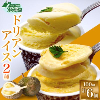 ふるさと納税 沼津市 ドリアンアイスクリーム 2種 計6個 セット ココナッツ キャラメル かをり果樹園 静岡県 沼津市