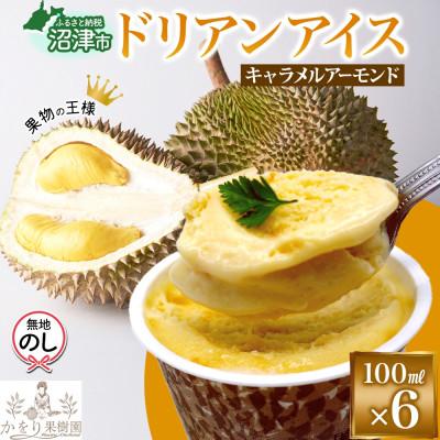 ふるさと納税 沼津市 無地熨斗 ドリアン キャラメルアーモンドアイスクリーム 6個 セット かをり果樹園 静岡県 沼津市