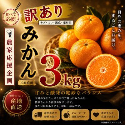 ふるさと納税 玉名市 [先行予約]熊本県産 温州みかん 訳あり約3kg(玉名市)
