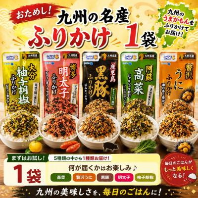 ふるさと納税 玉名市 おためし!九州の名産ふりかけ 1袋(玉名市)