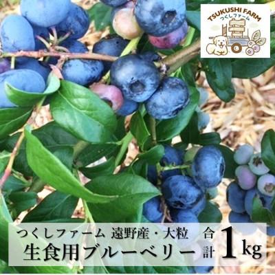 ふるさと納税 遠野市 大粒 完熟 生ブルーベリー 500g×2パック 岩手県 遠野産 つくしファーム 栽培期間中農薬不使用