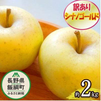 ふるさと納税 飯綱町 2026年11月以降出荷 訳あり りんご シナノゴールド 約2kg 光センサー選果