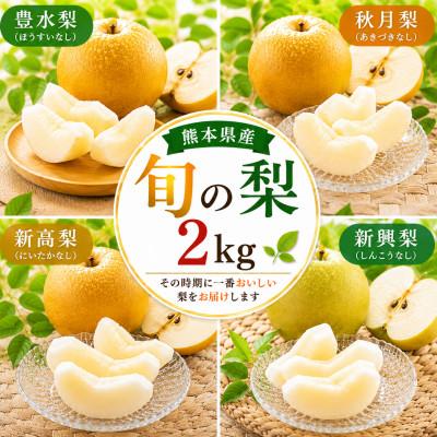 ふるさと納税 荒尾市 旬の梨 約2kg(荒尾市)