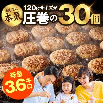 ふるさと納税 泉佐野市 【圧巻の30個】肉の泉佐野 ハンバーグ 合計3.6kg 黒毛和牛×なにわポーク入り |  | 01