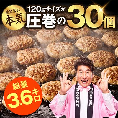 ふるさと納税 泉佐野市 【圧巻の30個】肉の泉佐野 ハンバーグ 合計3.6kg 黒毛和牛×なにわポーク入り |  | 02