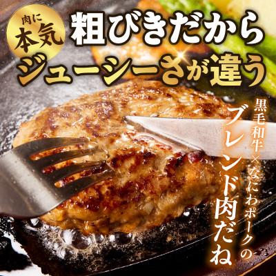 ふるさと納税 泉佐野市 【圧巻の30個】肉の泉佐野 ハンバーグ 合計3.6kg 黒毛和牛×なにわポーク入り |  | 03